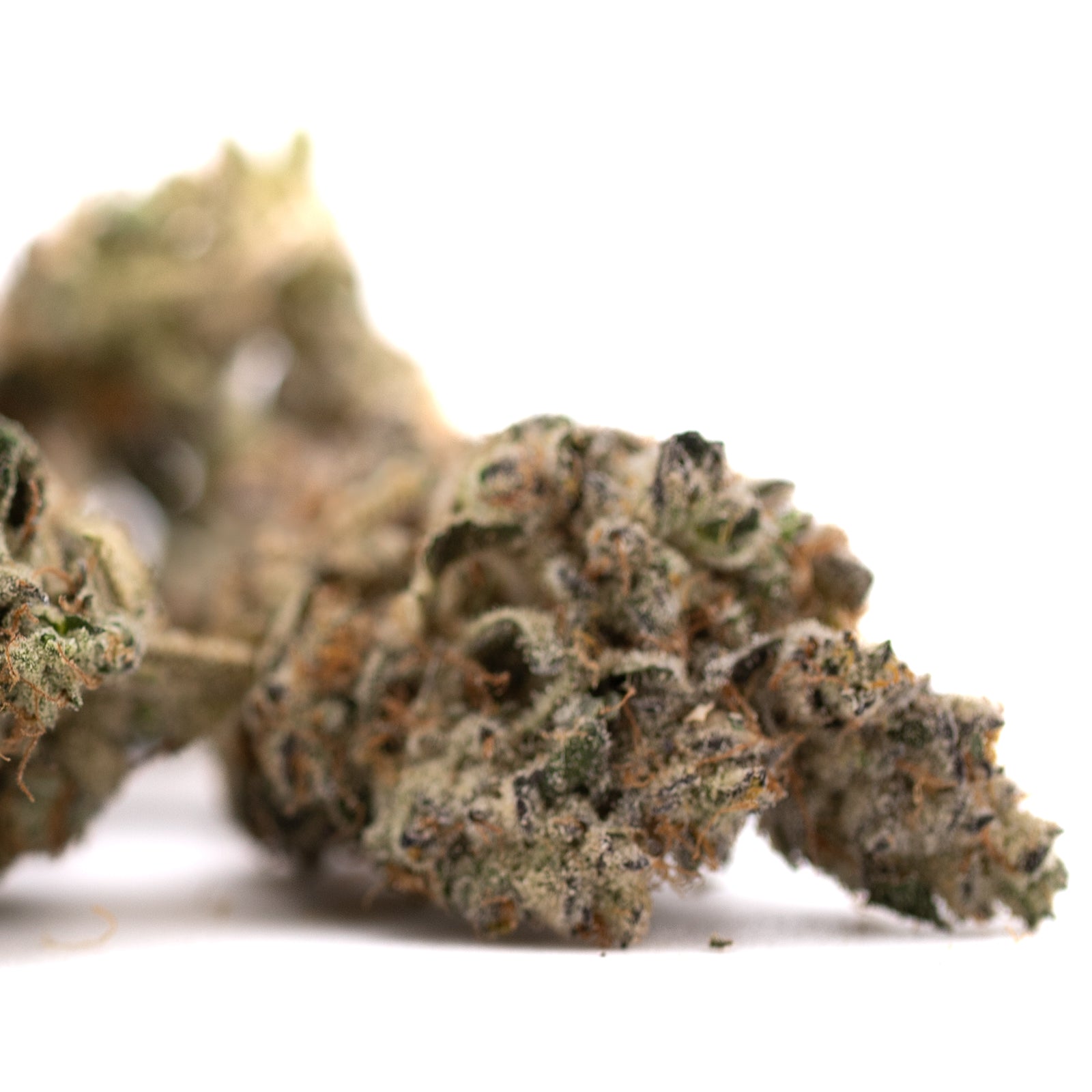 Dried Gary Payton indoor THCA flower buds with trichomes and orange hairs