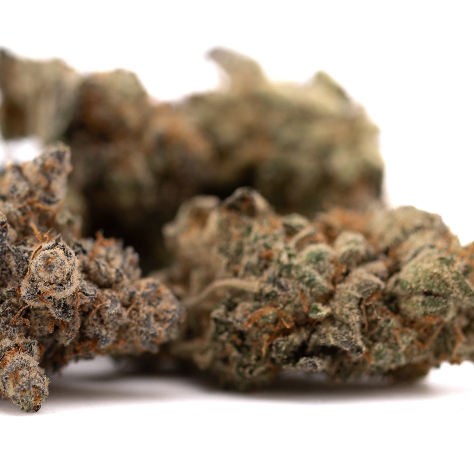 Dried cannabis flower buds of Giggle Gas Indoor THCa Flower, premium indoor THCa strain