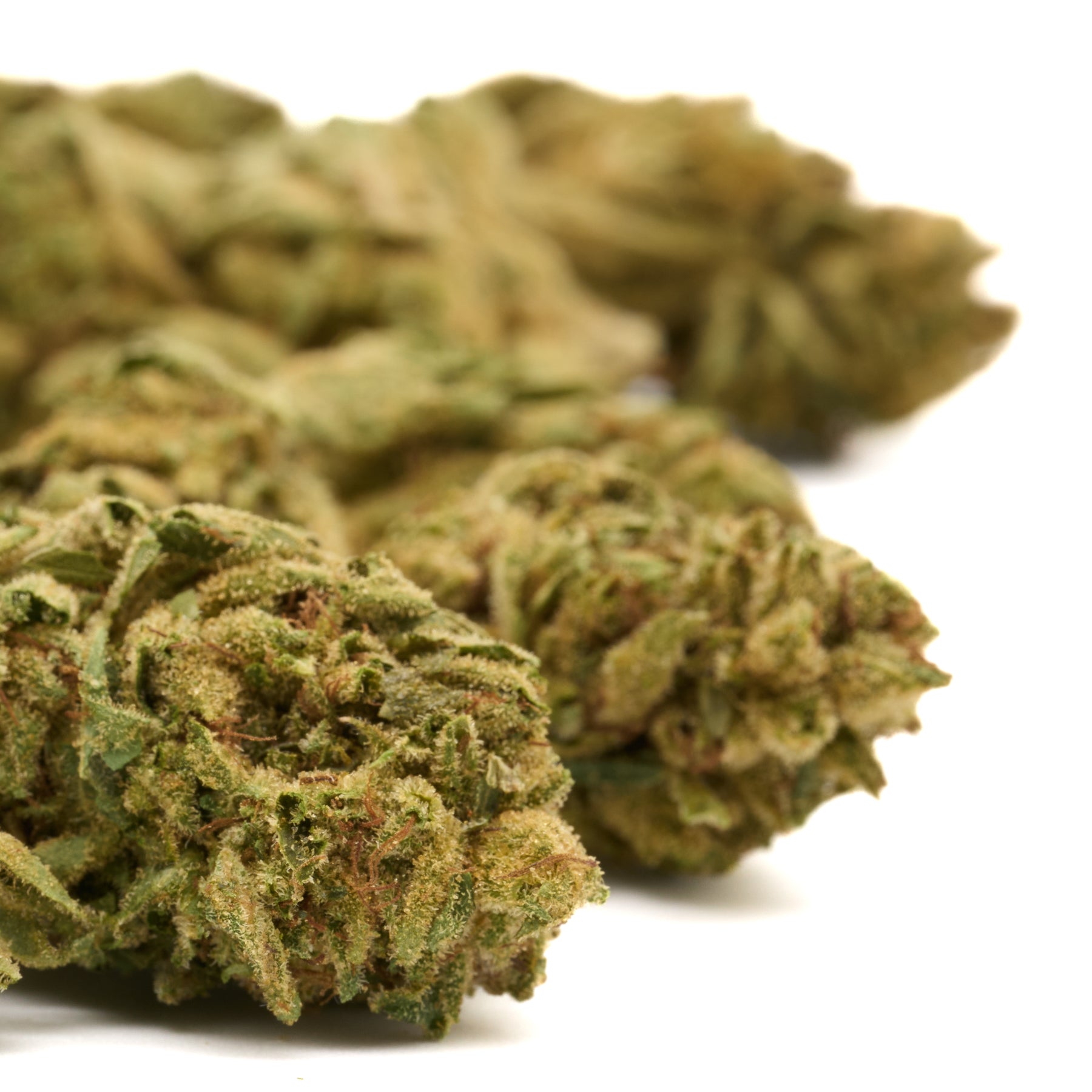 Pile of green, trichome-rich Gorilla Glue THCa hemp flower greenhouse wholesale