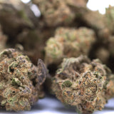 Government Oasis THCa Hemp Flower Greenhouse Smalls