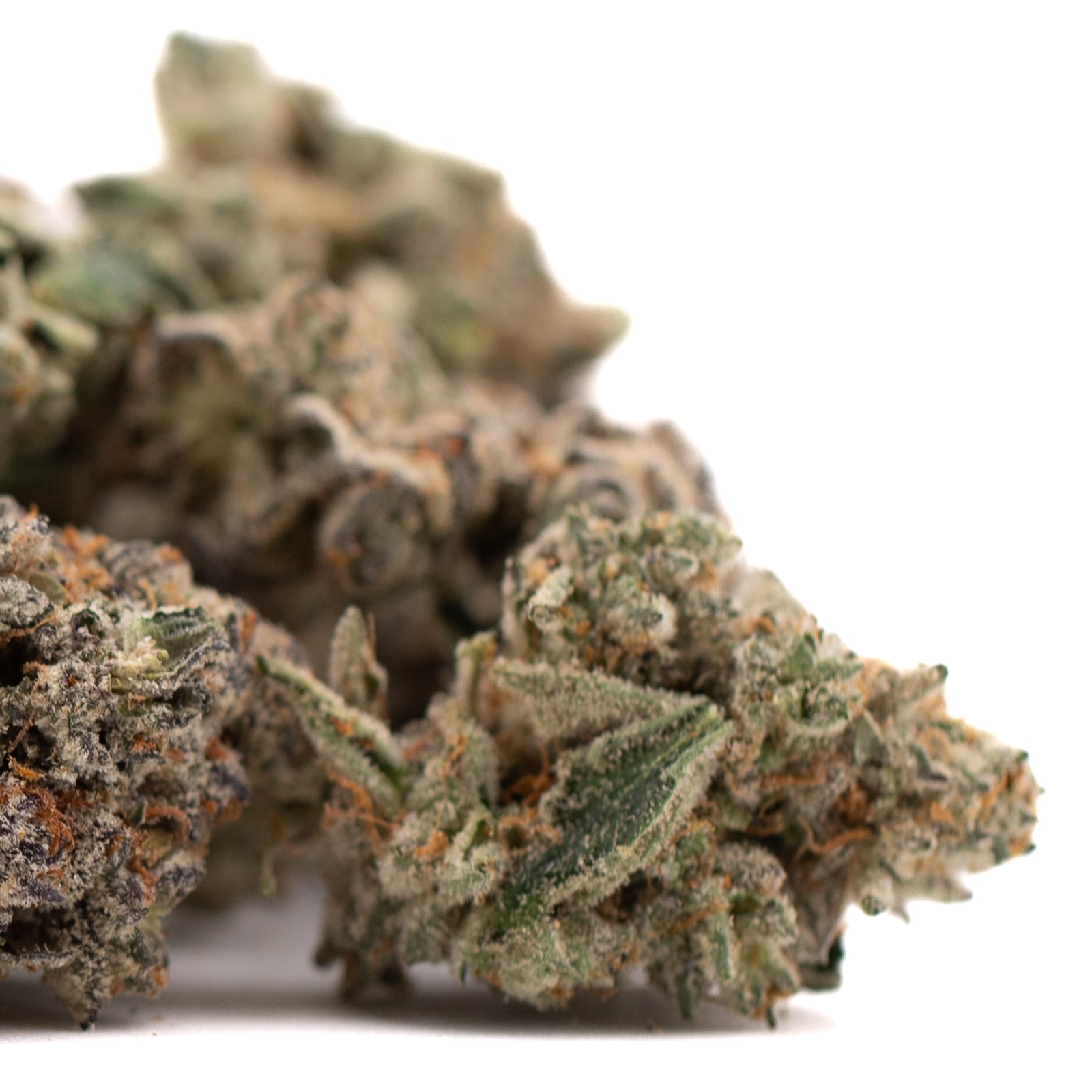 Dried Granny Crack indoor THCa flower with orange pistils and trichomes