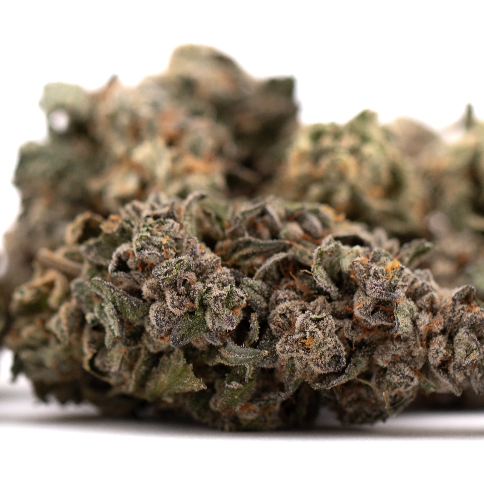 Dried Guava Z Indoor THCa Flower with trichomes and orange hairs for premium cannabis enthusiasts