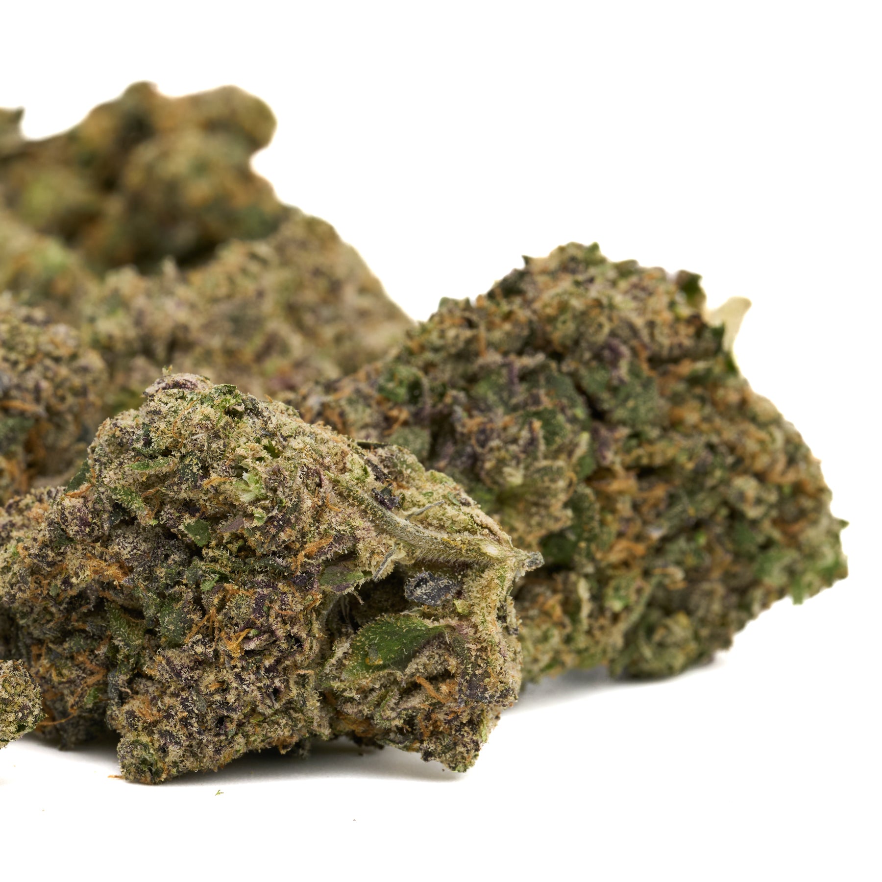 Hash Burger Indoor THCa Flower with vibrant green and purple hemp flower buds