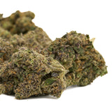 Dried green and purple hash plant THCa flower buds for Hash Burger Indoor THCa Flower Wholesale