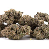 Hooch THCa Hemp Flower Greenhouse Wholesale