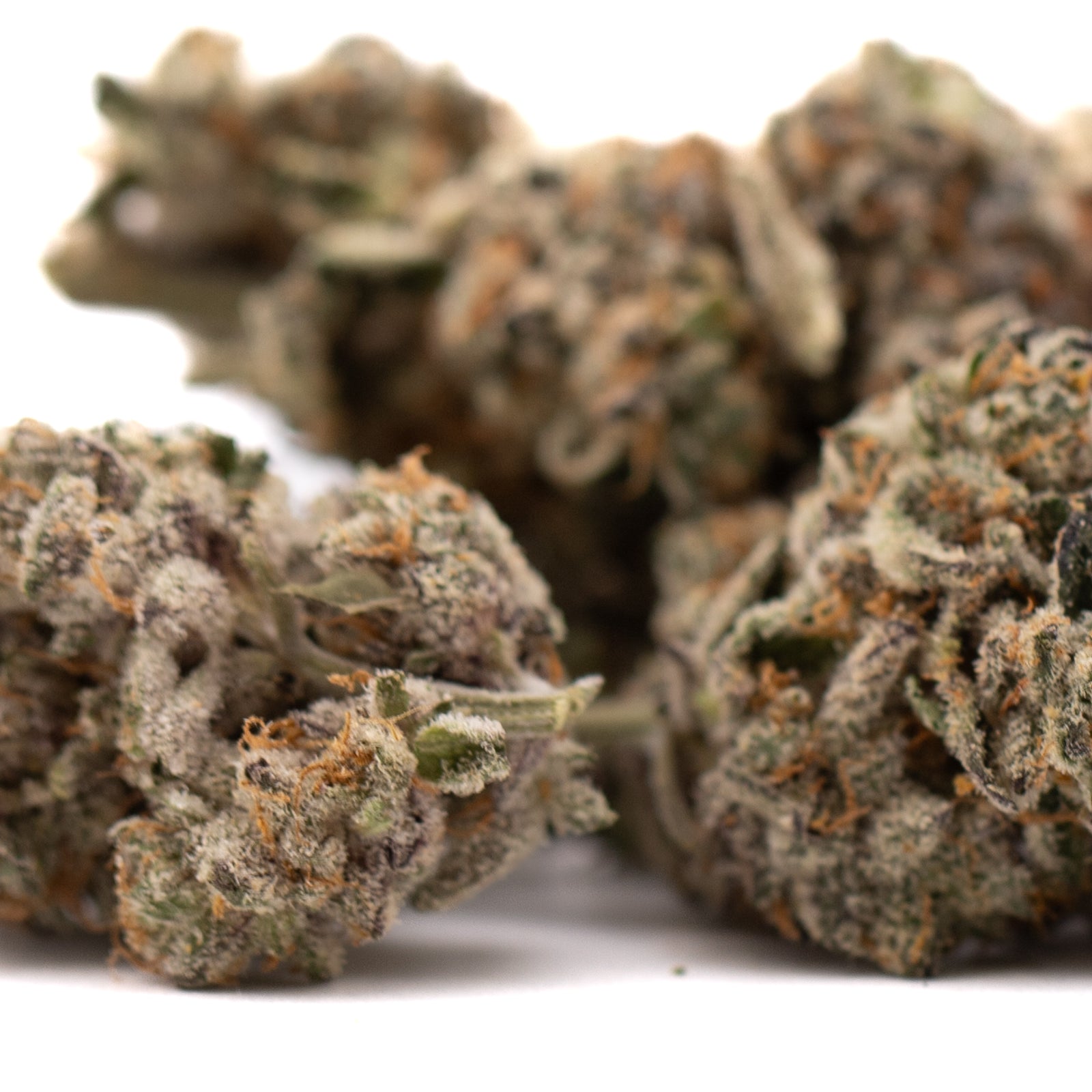 Hooch Indoor THCa Flower with dried cannabis buds, orange pistils, purple coloration