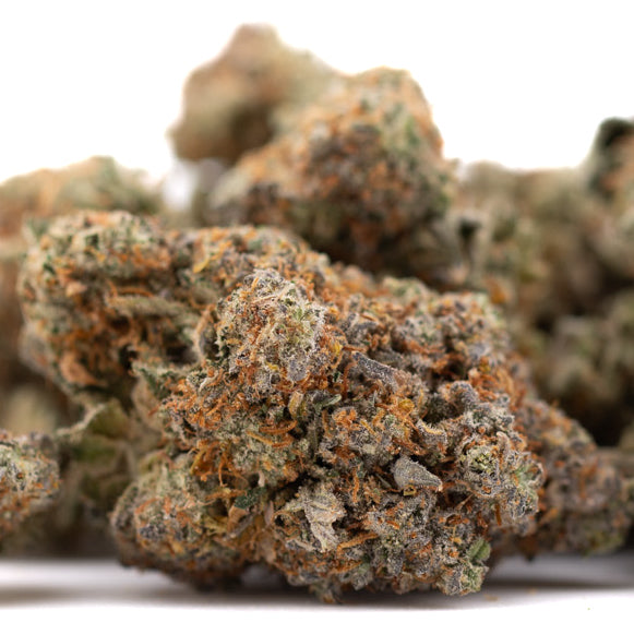 Close-up of Huckleberry Diesel THCa Flower with orange hairs and trichomes for sleep support