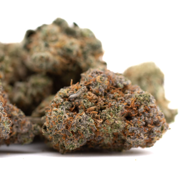 Huckleberry Diesel THCA flower with orange hairs and green-purple hues for sleep support