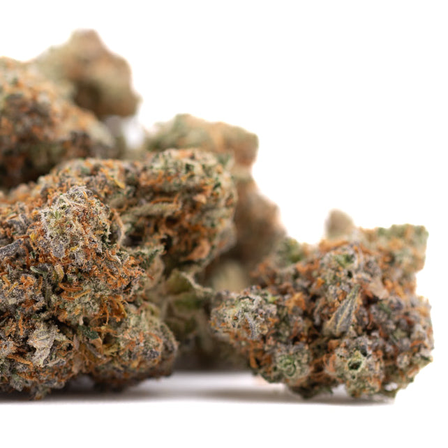 Dried Huckleberry Diesel THCA flower with orange hairs and trichomes for sleep support