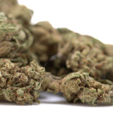 Premium Jelly Mints THCa flower smalls with trichomes for sleep support