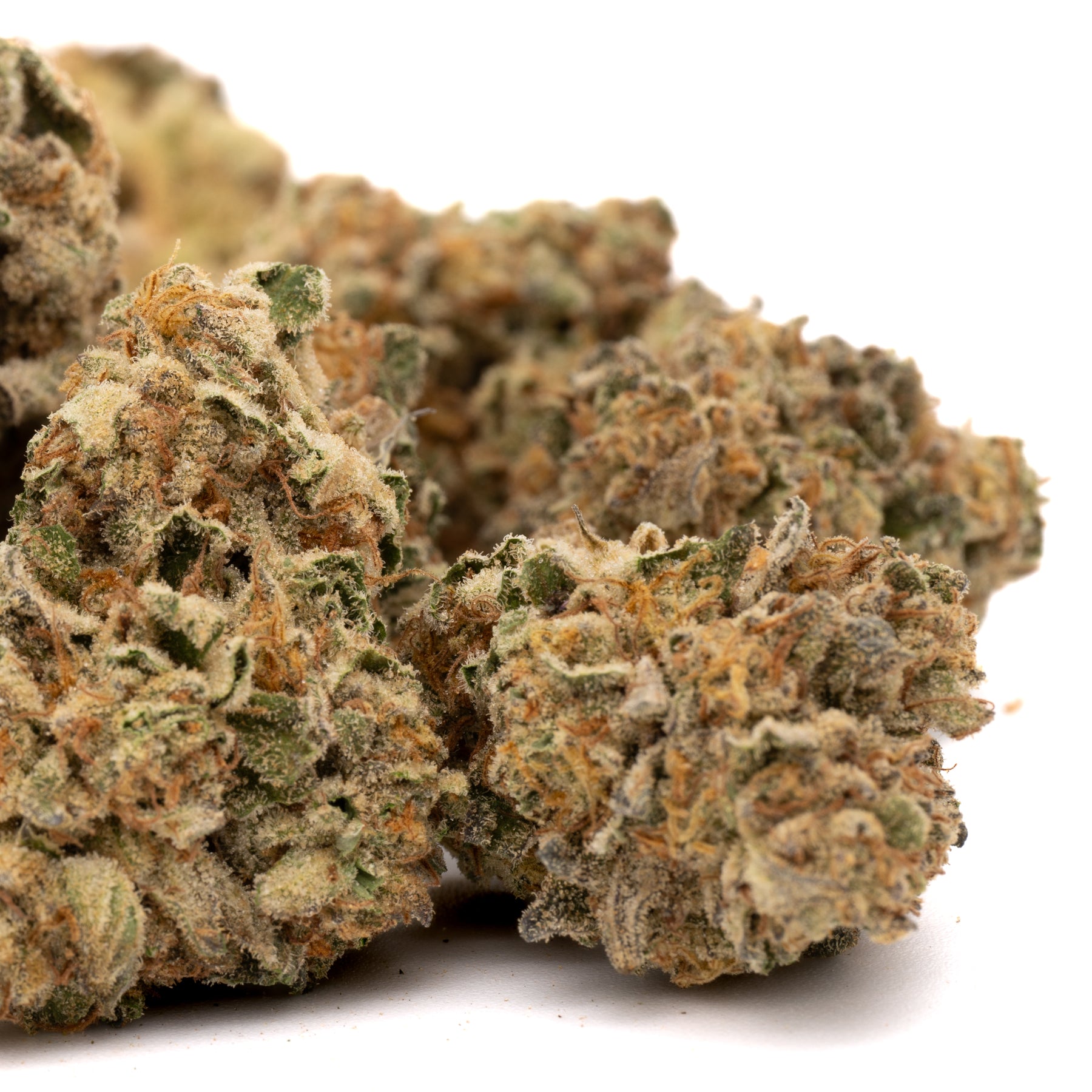 Jessica Rabbit THCa Flower Full-Term - Plants