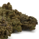 Dried Lemon Cherry Gelato THCa Hemp Flower Buds for Wholesale Sale