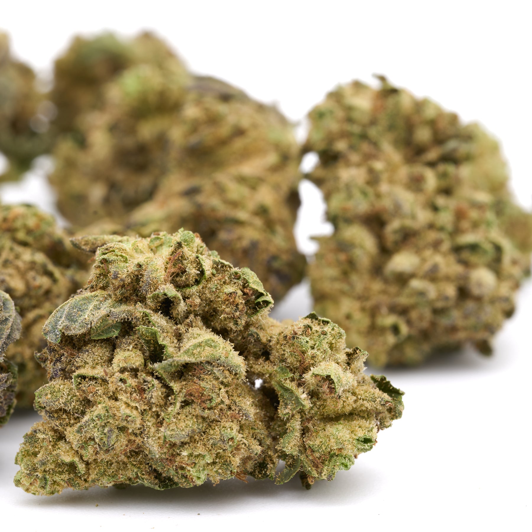 Dried Lemon Cherry Gelato THCa Flower Full-Term hemp flower buds for premium cannabis use