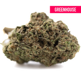 Lemon Cherry Gelato THCa Hemp Flower Greenhouse