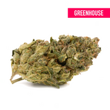 Greenish cannabis bud of Lemon Kush THCa Hemp Flower Greenhouse showcasing THCa hemp flower