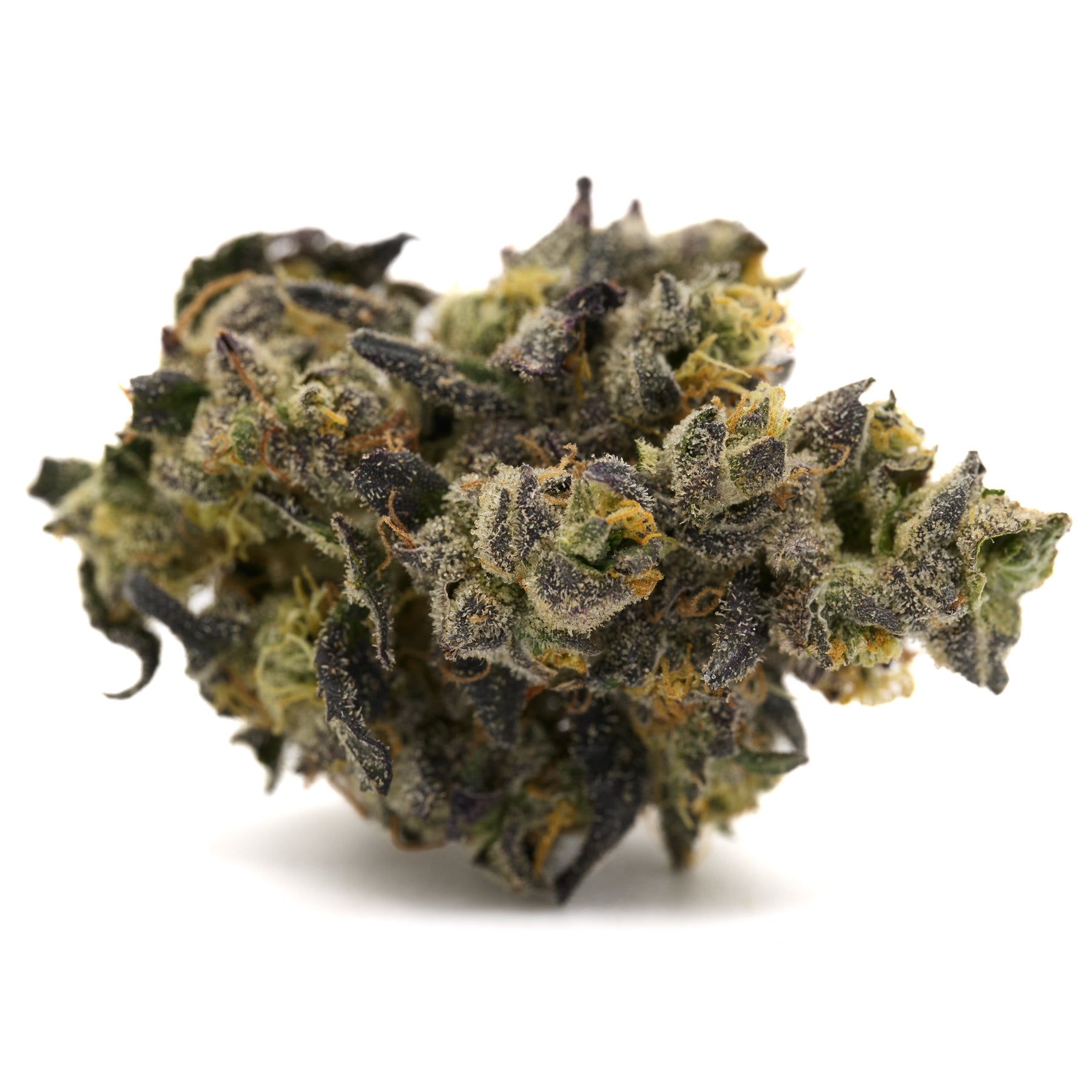 Lung Buster Indoor THCa Flower by Don Mega showing dense purple and green cannabis bud