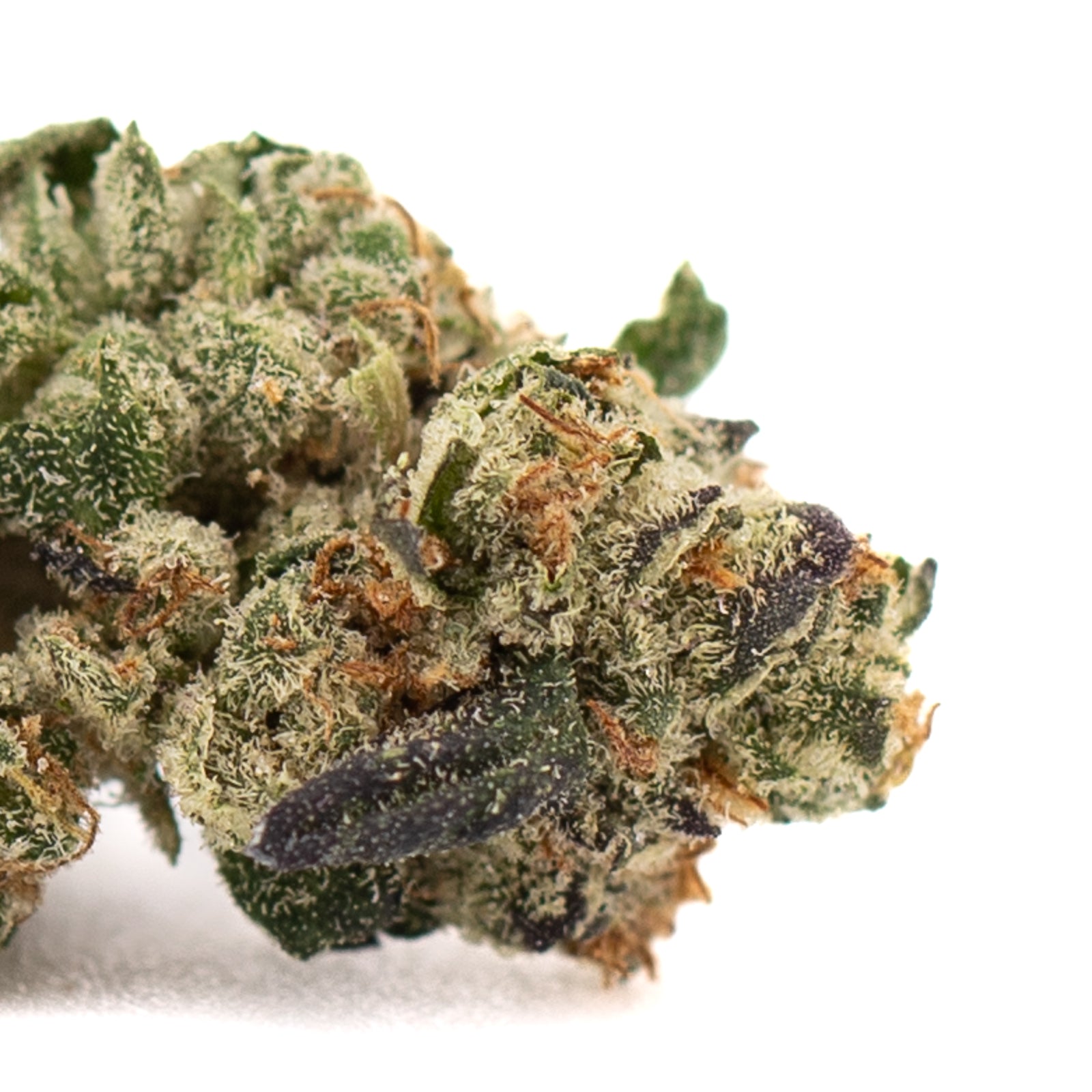 Lung Buster Indoor THCa Flower Smalls with trichomes and orange pistils, Udder Madness style