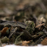 Lung Buster Indoor Trim Wholesale 1LB