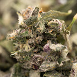 Trichome-covered cannabis bud with purple hues from Mac and Gary THCa Indoor Trim Wholesale 1LB