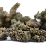 Mendo Breath THCa flower smalls with green and brown buds, dense resin glands