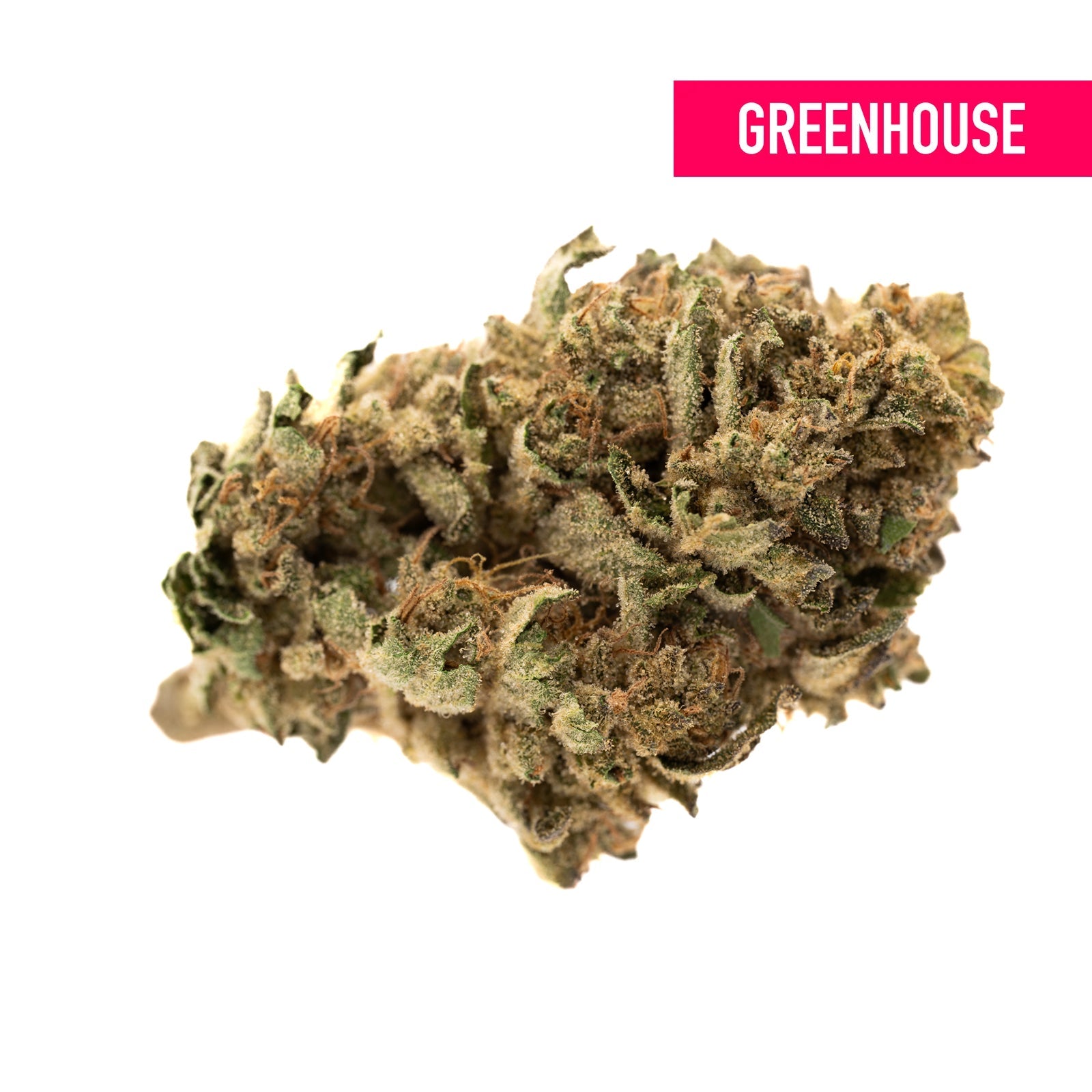 Nascar THCa Hemp Flower Greenhouse - Plants