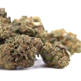 Poison Gushers THCa Hemp Flower Greenhouse