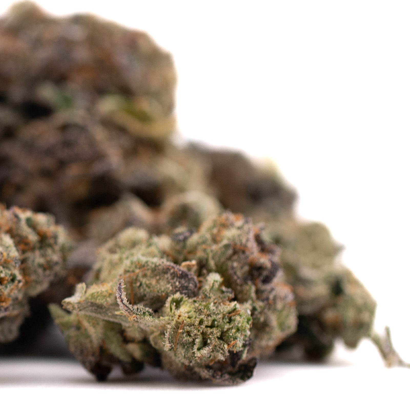 Dried cannabis flower buds from Poppin Bottlez #2 with Rozay Cake and Hood Candyz premium THCa