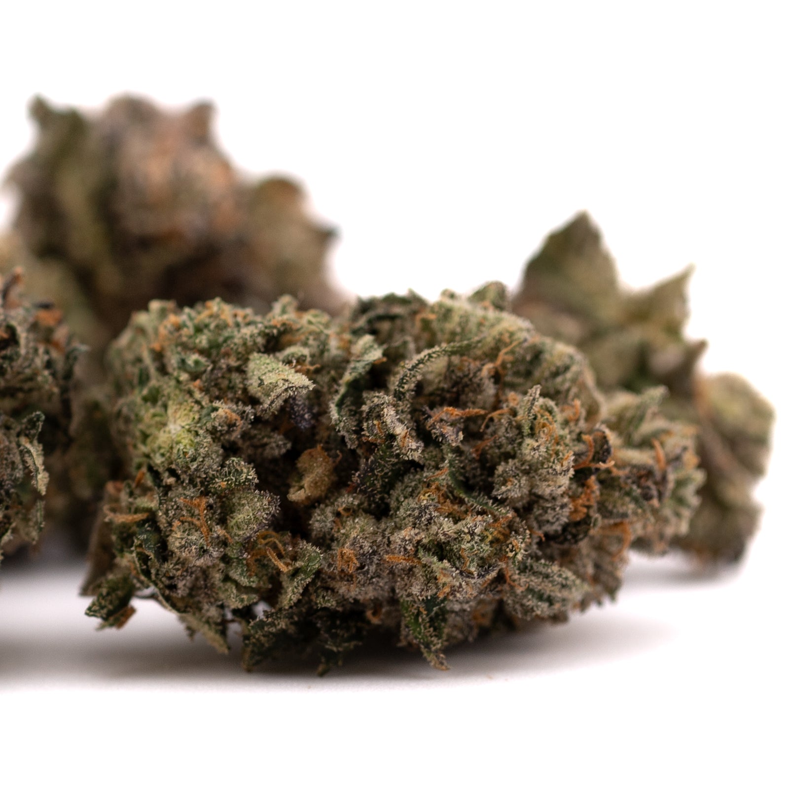 Close-up of Purple Lemon Cake THCa flower wholesale with trichomes and orange hairs