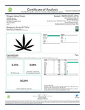 Raspberry Runtz #2 Indoor THCa Flower Wholesale