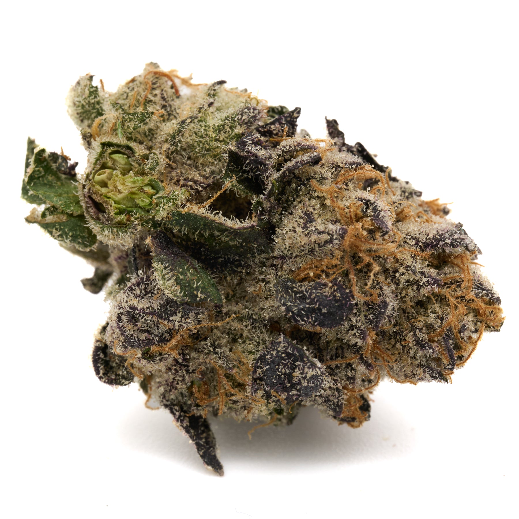Raspberry Runtz Indoor THCa Flower with dense trichome-covered green purple and orange buds