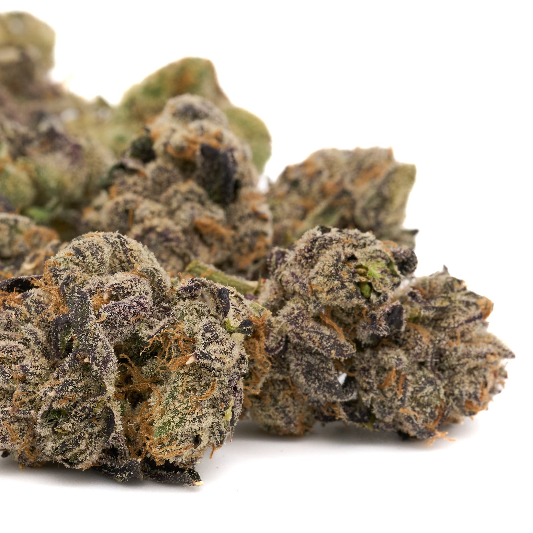 Raspberry Runtz Indoor THCa Flower with purple hues and orange hairs for premium space cake