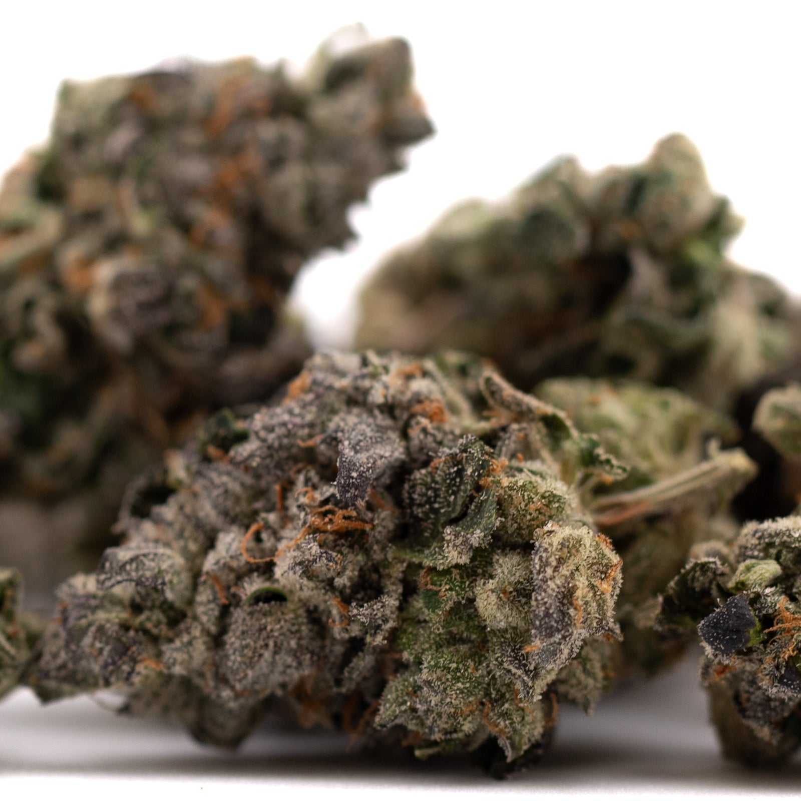 Dried Rose Gold Runtz indoor THCa flower with dense buds, visible trichomes, and orange pistils