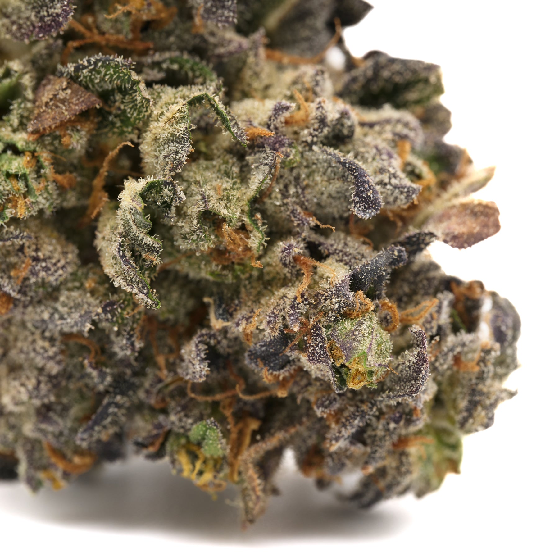 Russian Runtz THCa Flower featuring dense trichome-covered indica sedation buds with purple and orange hues