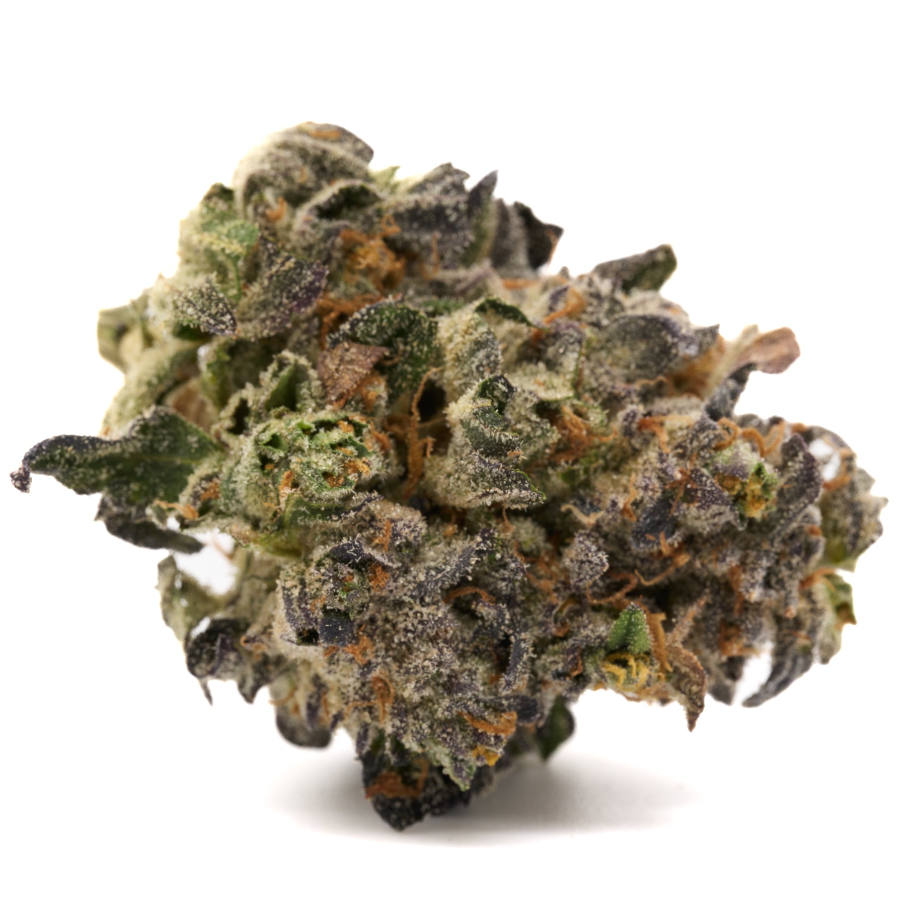 Russian Runtz THCA Flower with dense tropical citrus-colored buds and frosty trichomes