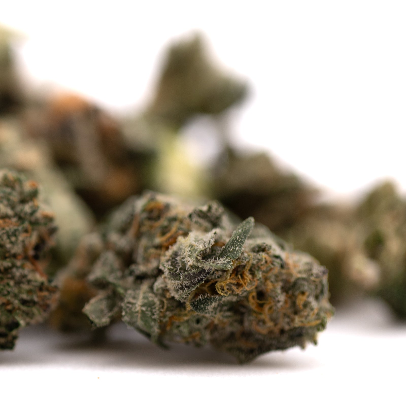 Dried Sour Runtz indoor THCa small cannabis buds with trichomes and orange pistils