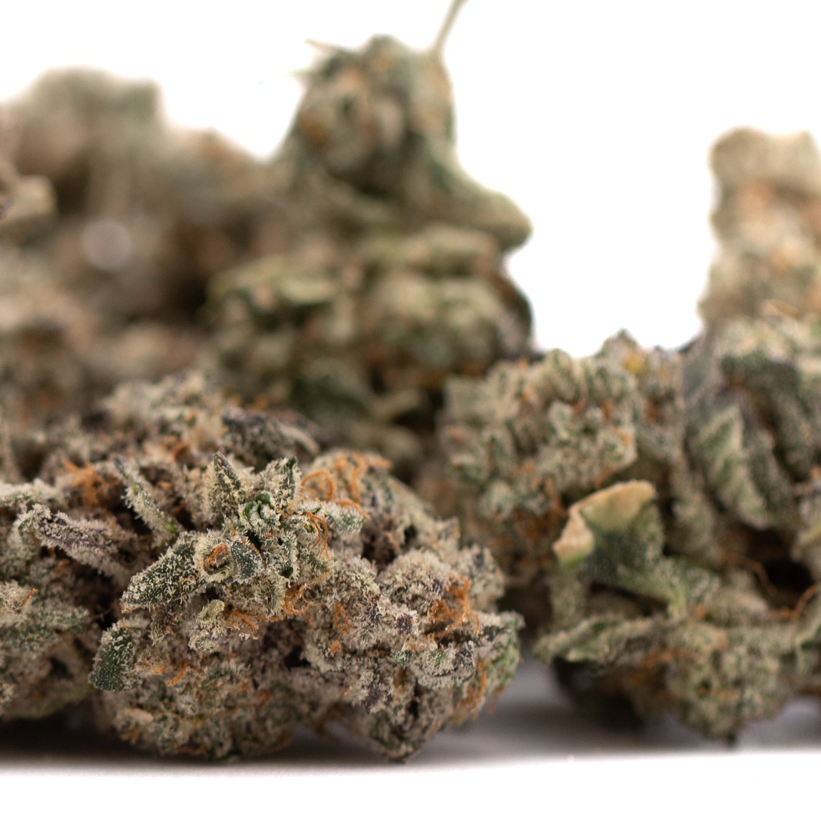 Dried Street Tarts Indoor THCa Flower with purple coloration, trichomes, and orange pistils