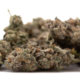 Dried Street Tarts Indoor THCa Flower with orange hairs and purple coloration