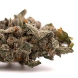 Street Tarts indoor THCa flower with purple coloration hemp bud covered in trichomes