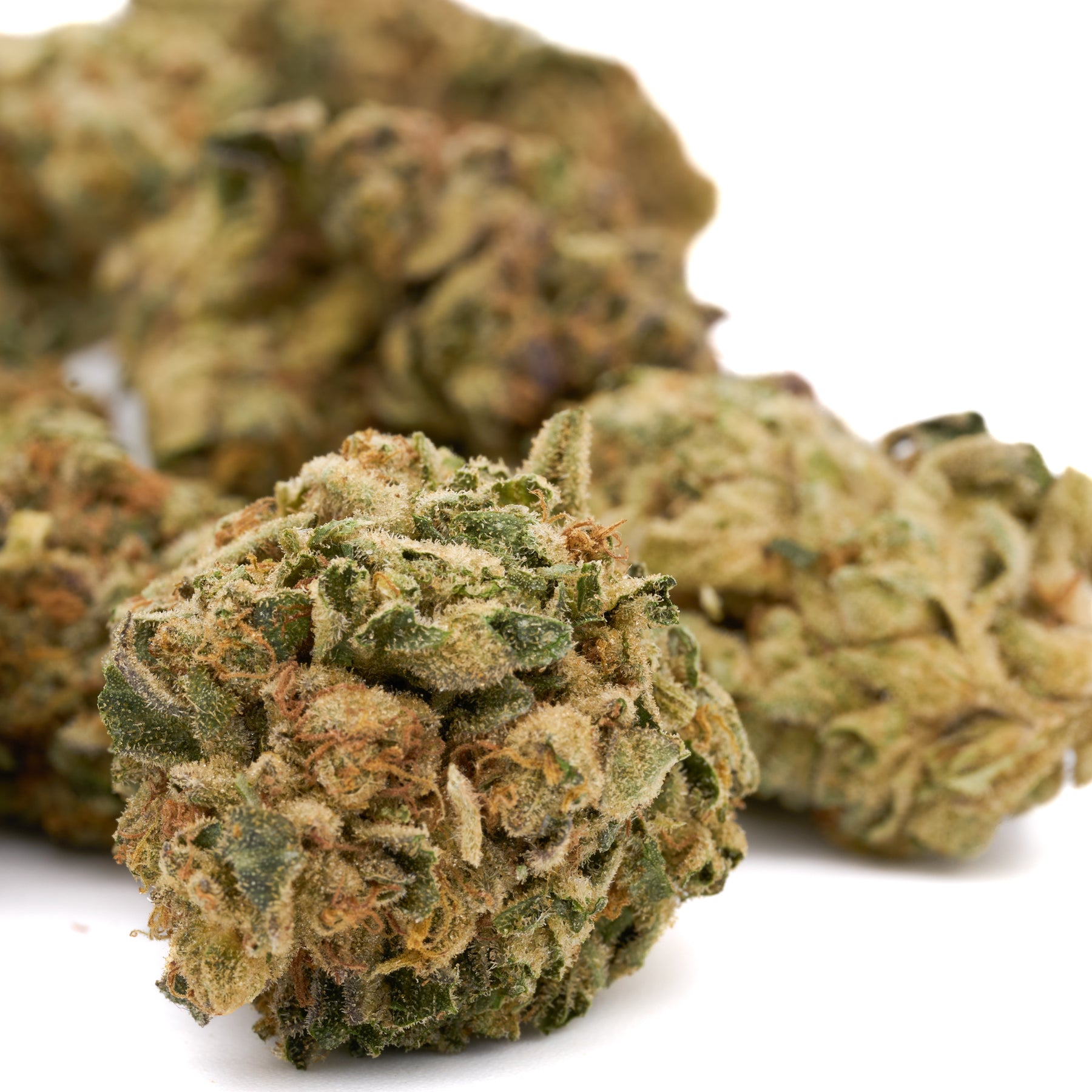 Dried cannabis buds of Super Boof THCa Hemp Flower from Greenhouse