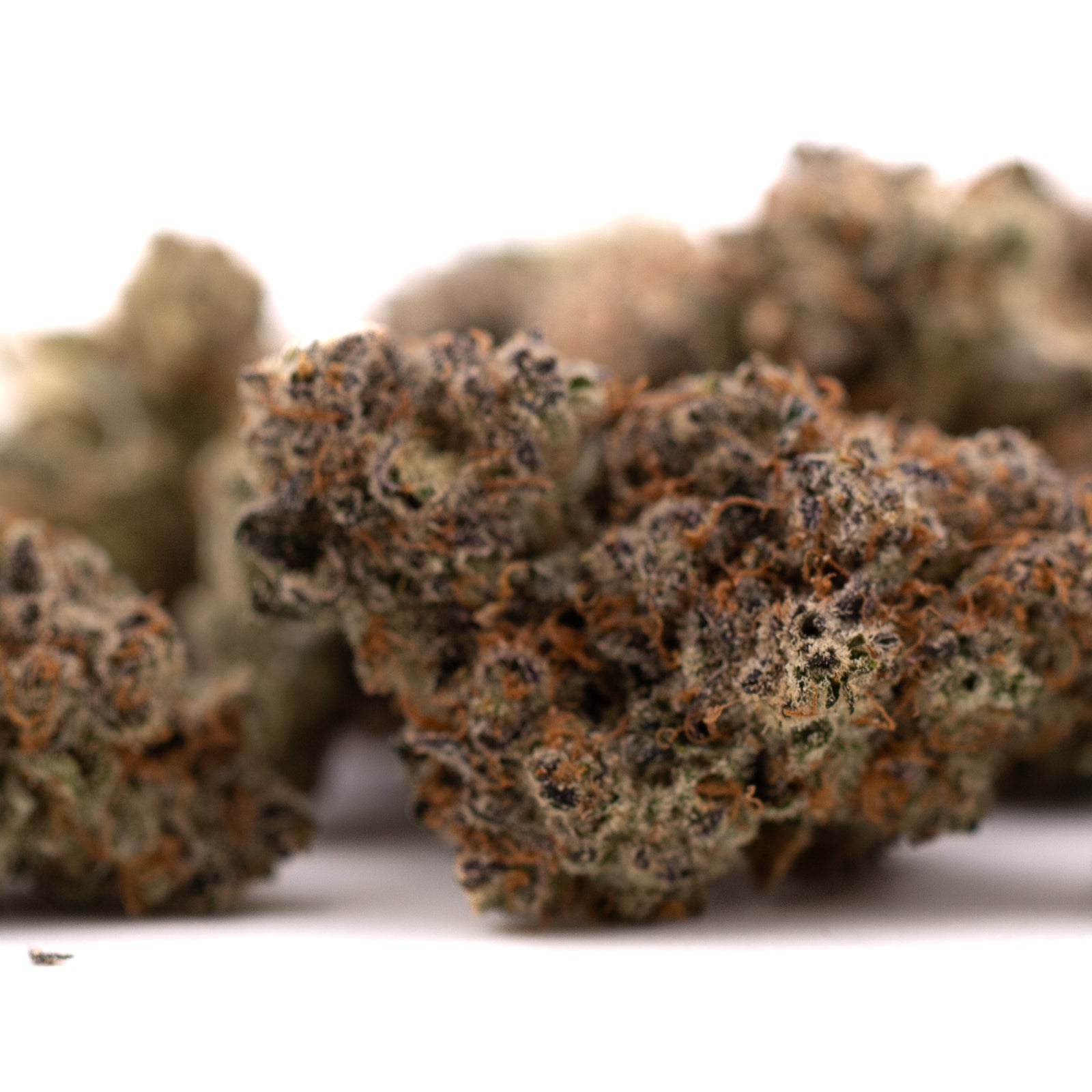 Dried Super Runtz cannabis buds with orange hairs and frosty trichomes from Orchard Swirl Synergy