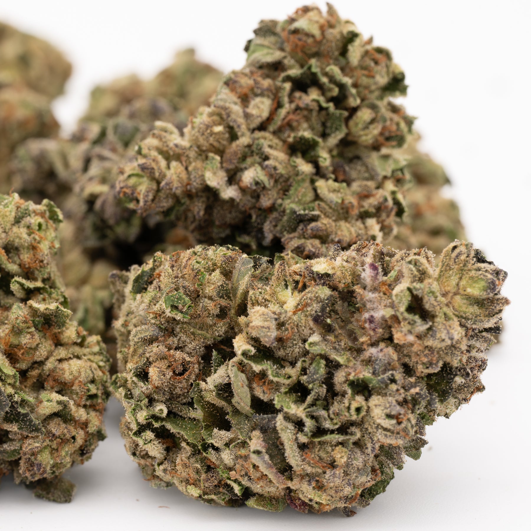 Super Sonic THCa Flower Full-Term - Plants