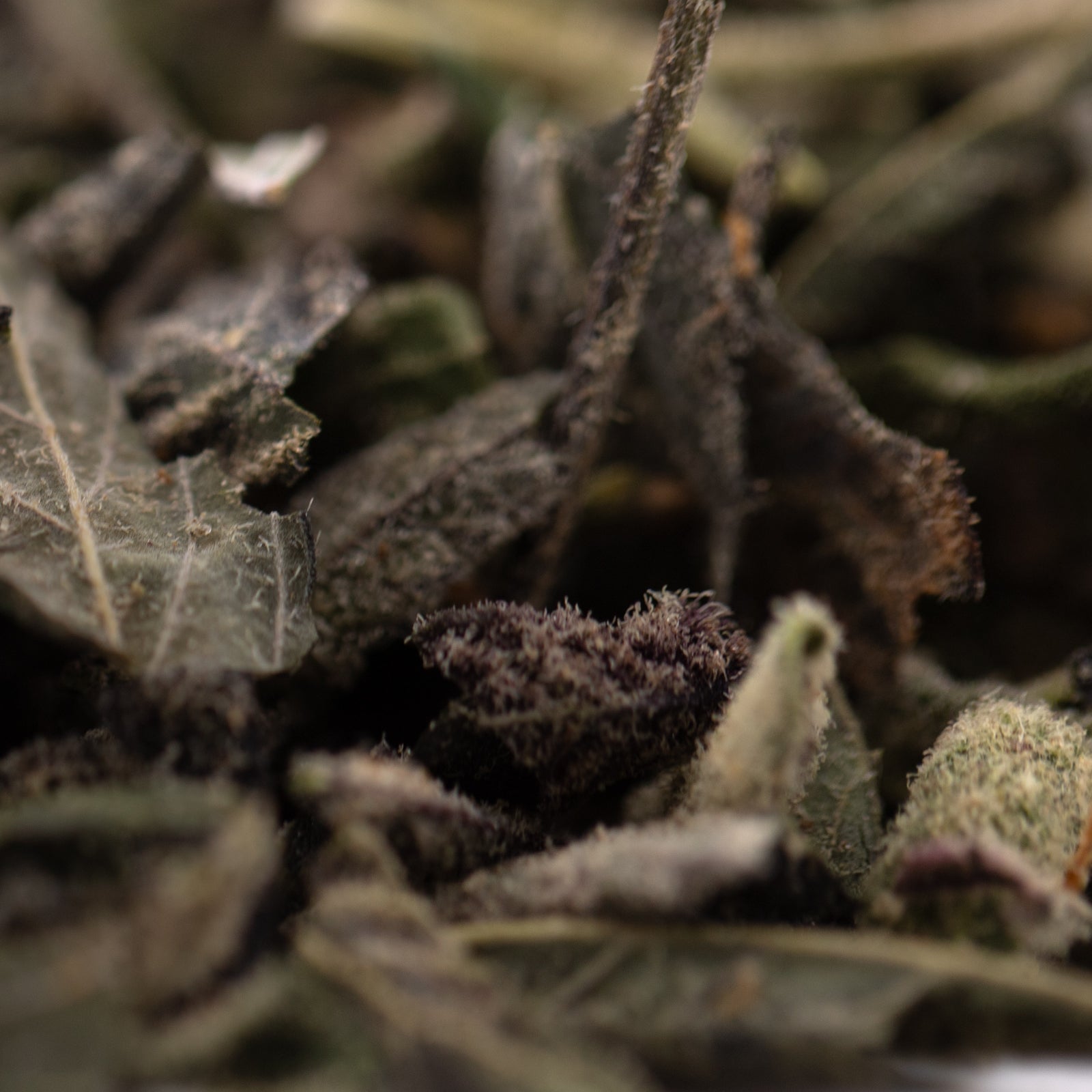 Dried green tea leaves and buds for Super Runtz Indoor Lemon Cherry Gelato THCA Trim