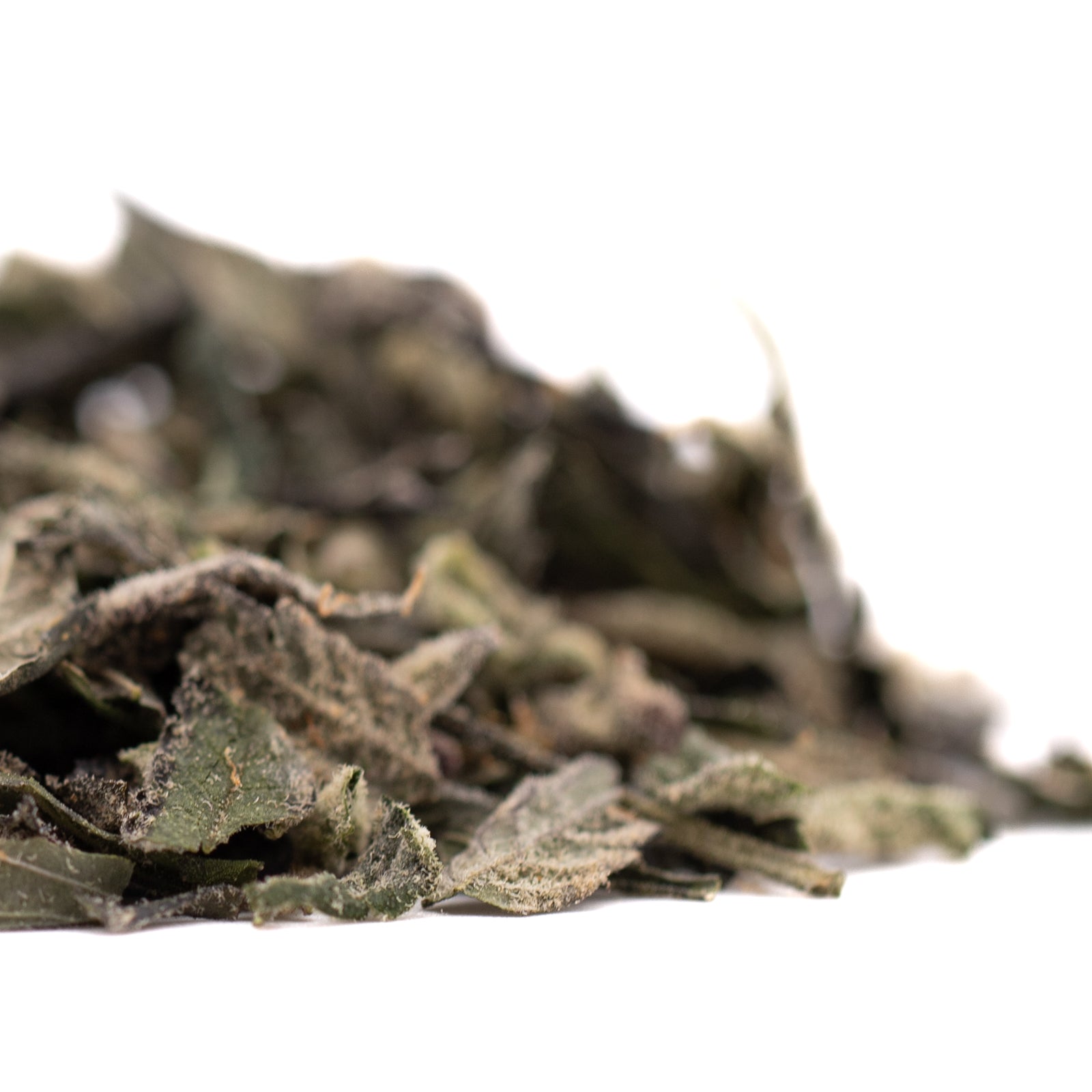 Dried green herbs from Super Runtz Indoor Trim Wholesale 1LB with lemon cherry gelato and THCA trim