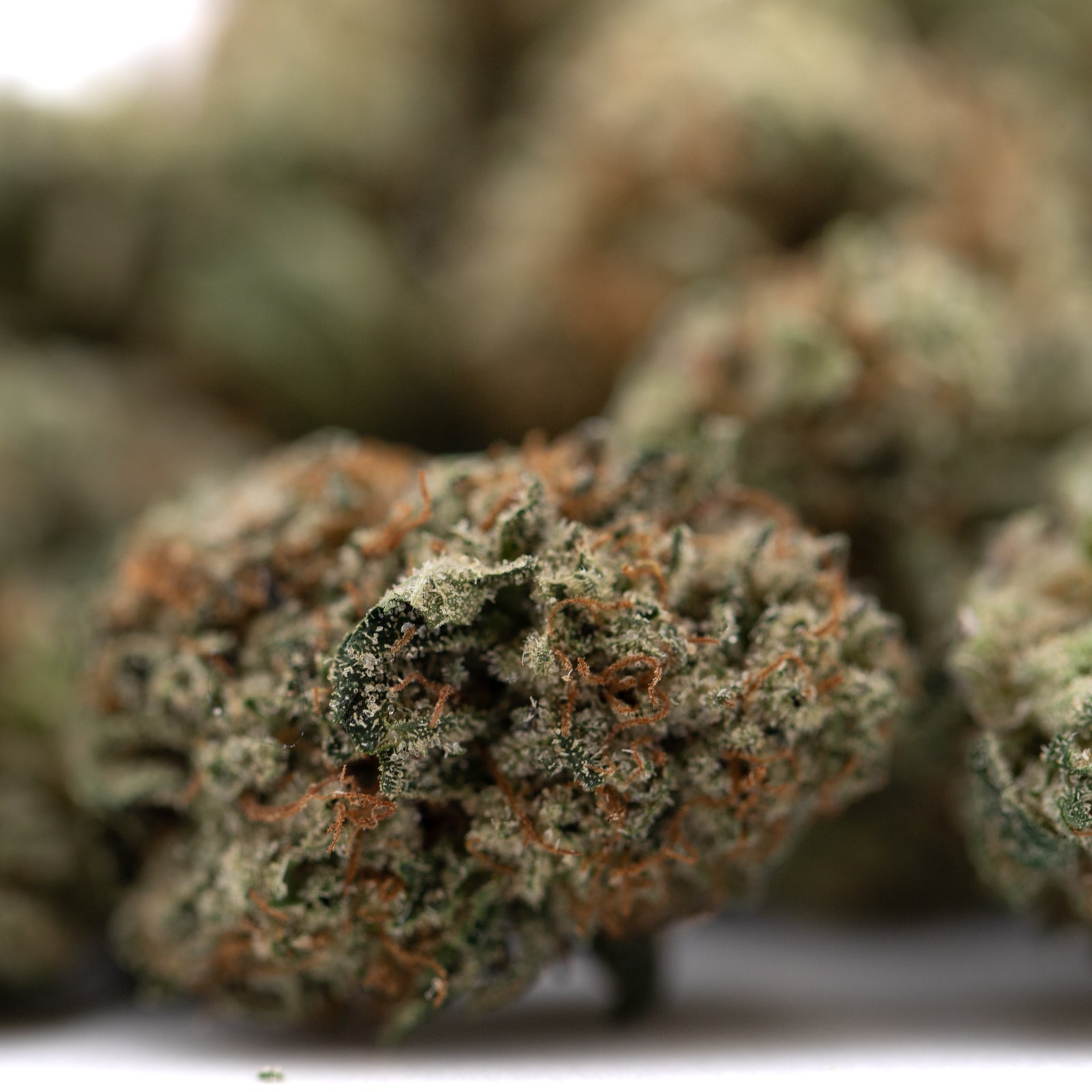 Tropical Punch indoor cultivation THCa flower small buds with Premium Indoor label