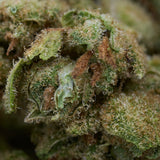 Dense Vanilla Frosting THCa Hemp Flower with trichomes and pistils, dessert cannabis strain