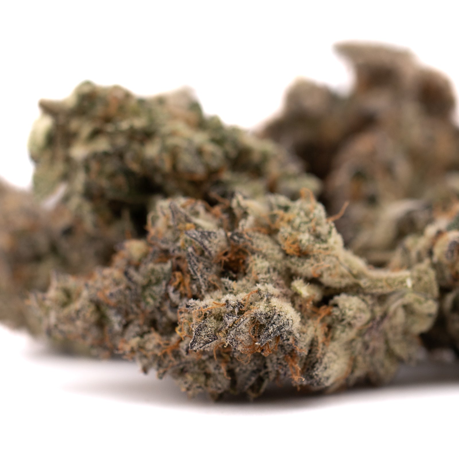 Close-up of White Runtz #2 indoor THCa flower with orange hairs and trichomes