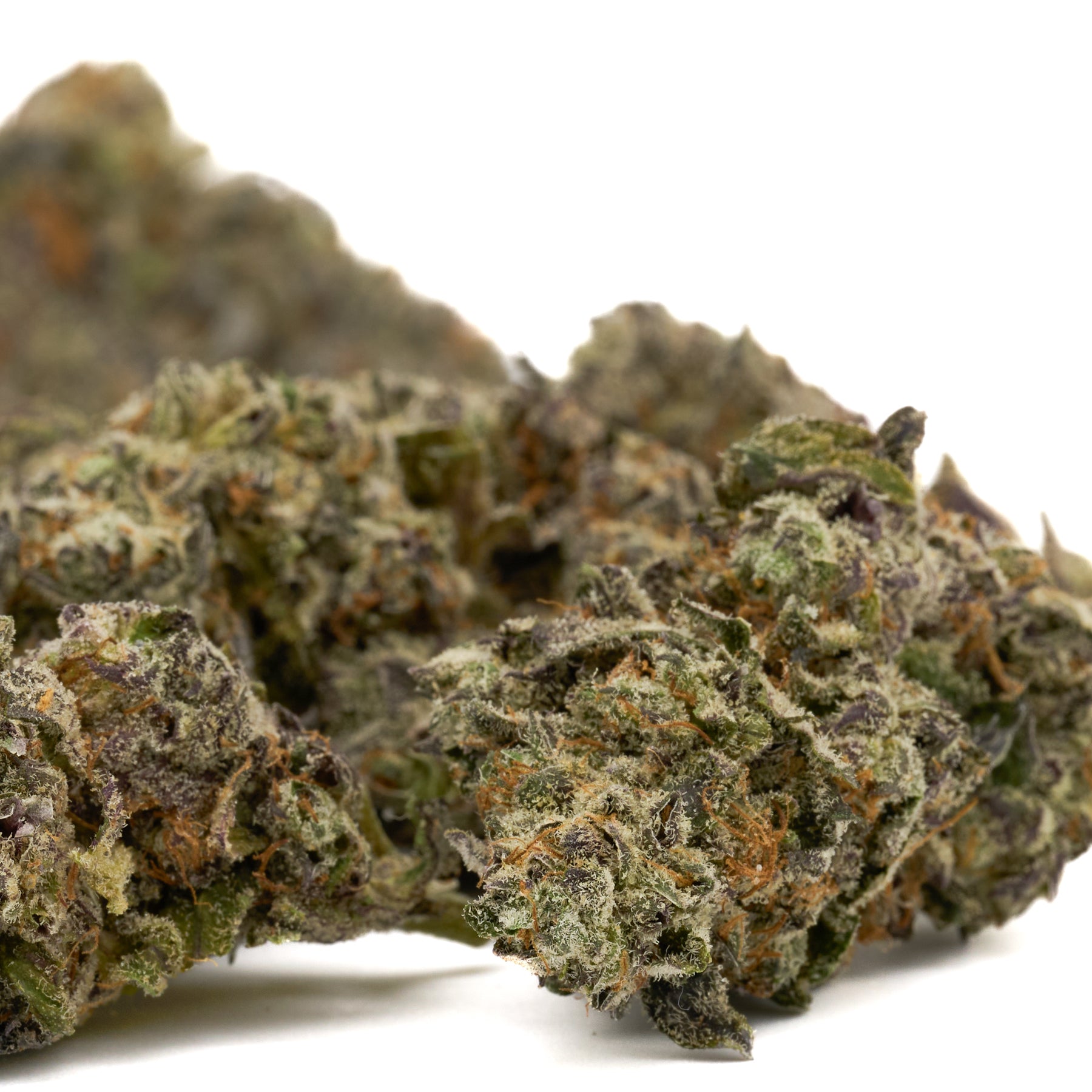 White Truffle Indoor THCa Flower from Orchard Illusions hemp flower with colorful dried buds