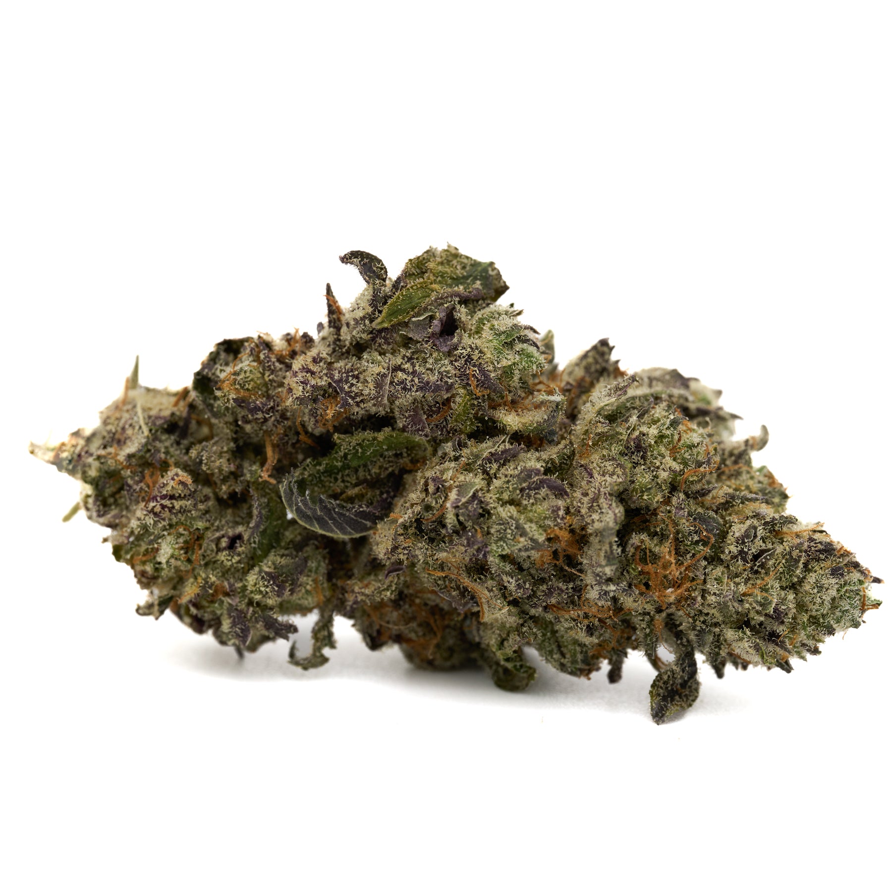 White Truffle Indoor THCa Flower with dense purple and green hemp flower buds