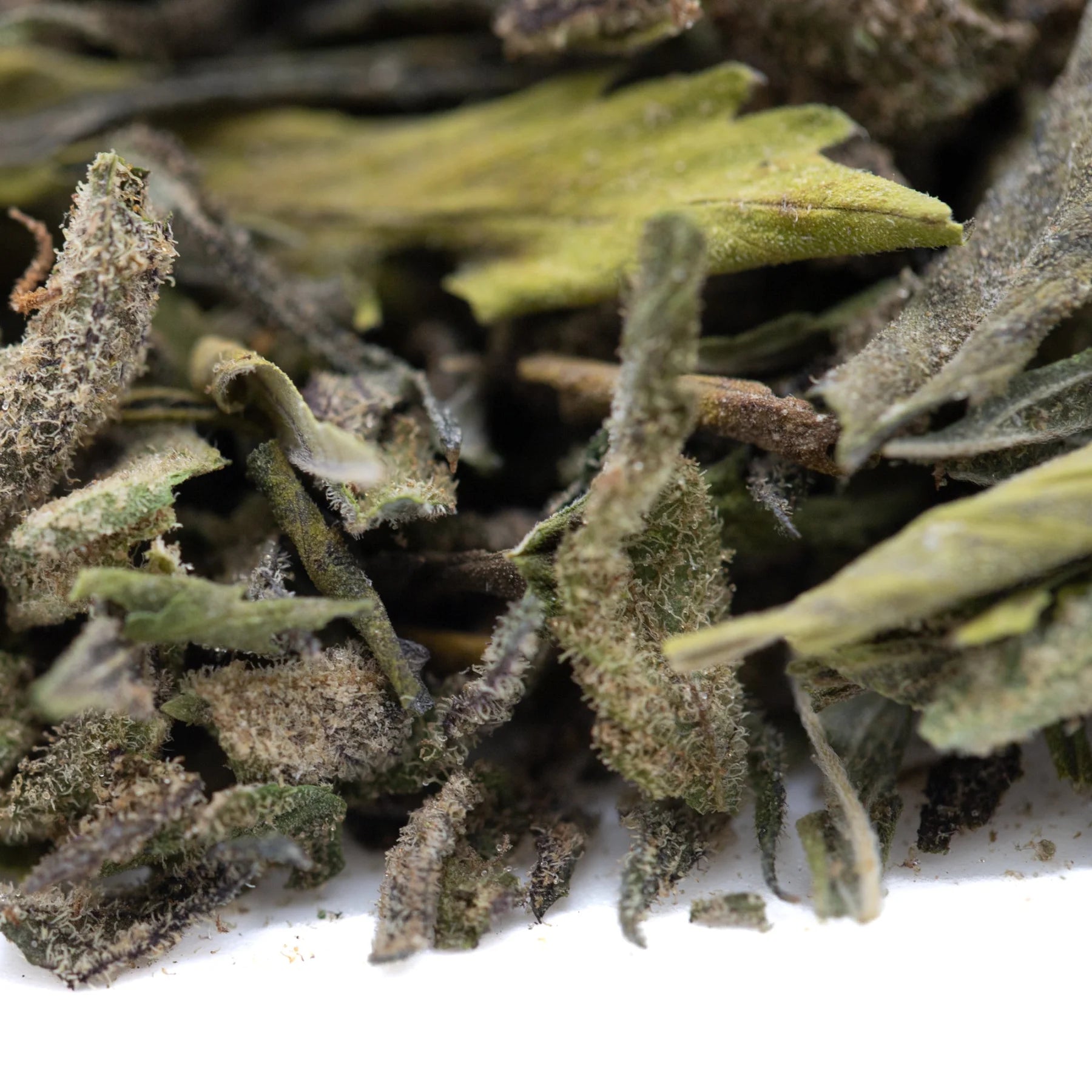 After dark #2 greenhouse thca trim wholesale showing dried green tea leaves with fuzzy silvery coating and olive shades