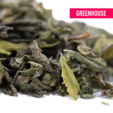 Dried white tea leaves with silvery fuzzy texture and muted green hues for after dark 2 greenhouse thca trim wholesale